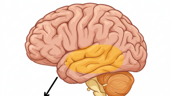 Ilmu Sains di Balik Kekuatan Aroma dalam Mempengaruhi Kondisi Psikologis dan Suasana Hati